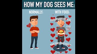 How My Dog Sees Me [GMG Originals]