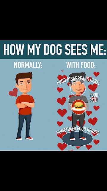 How My Dog Sees Me [GMG Originals]