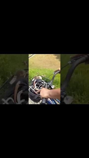 quando eu era criança criava um. #shorts