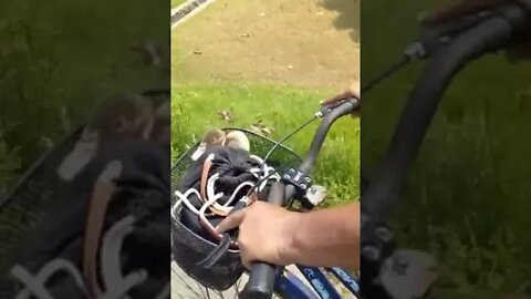quando eu era criança criava um. #shorts