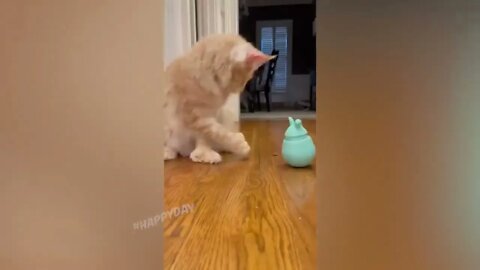 Best Funny Animal Videos 2022 😂 - Funniest Cats And Dogs Videos 😃🐴