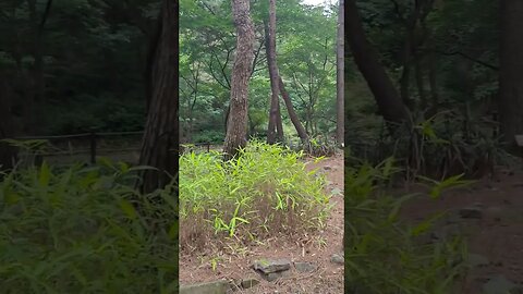충남 서천군 국립희리산해송자연휴양림