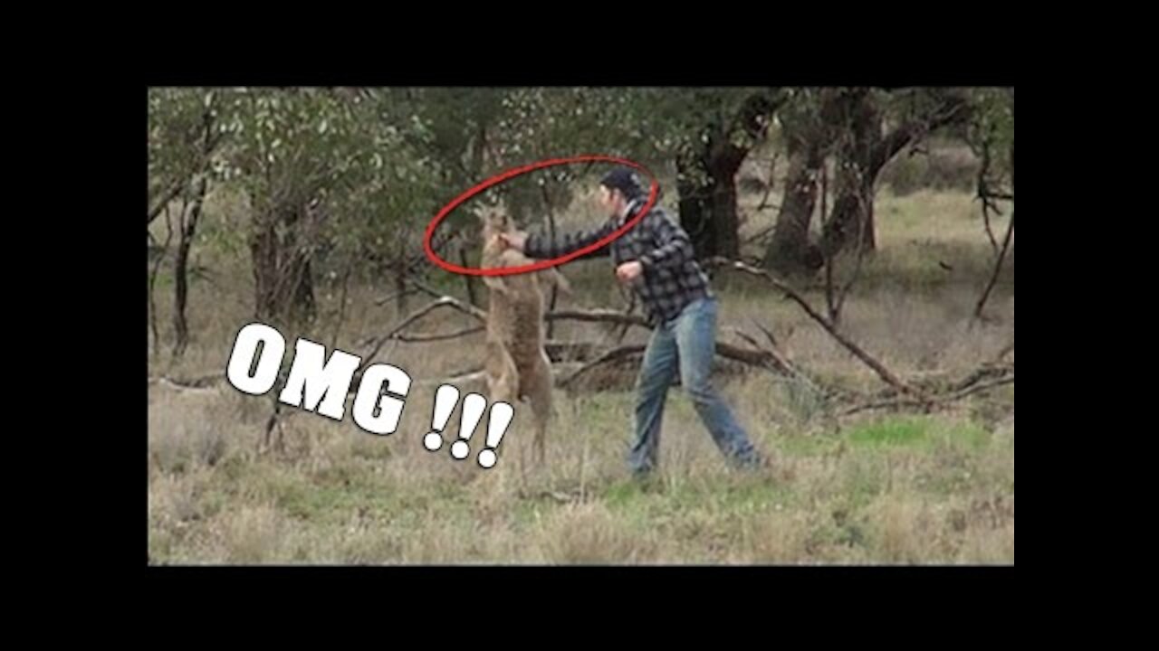 Animal VS Human 😱😱 SHOCKING 😨😨
