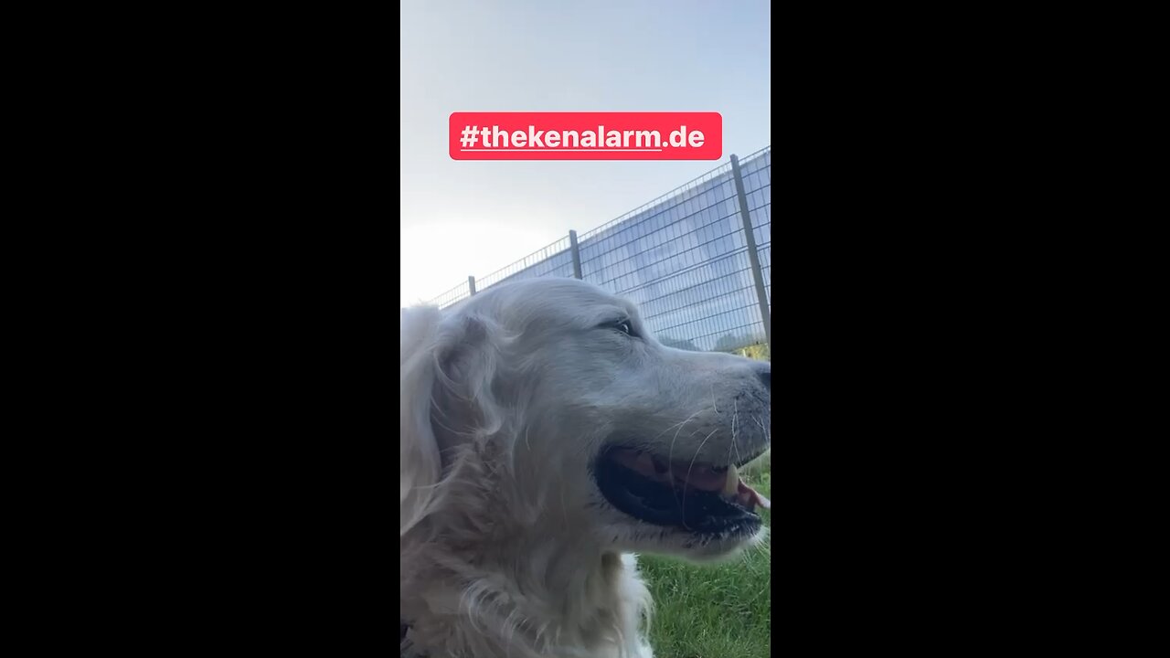 ALARMISMUS