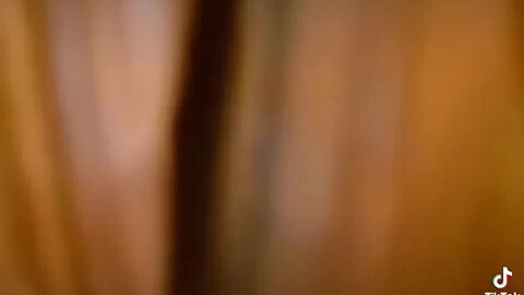 The Shadow behind the curtain.