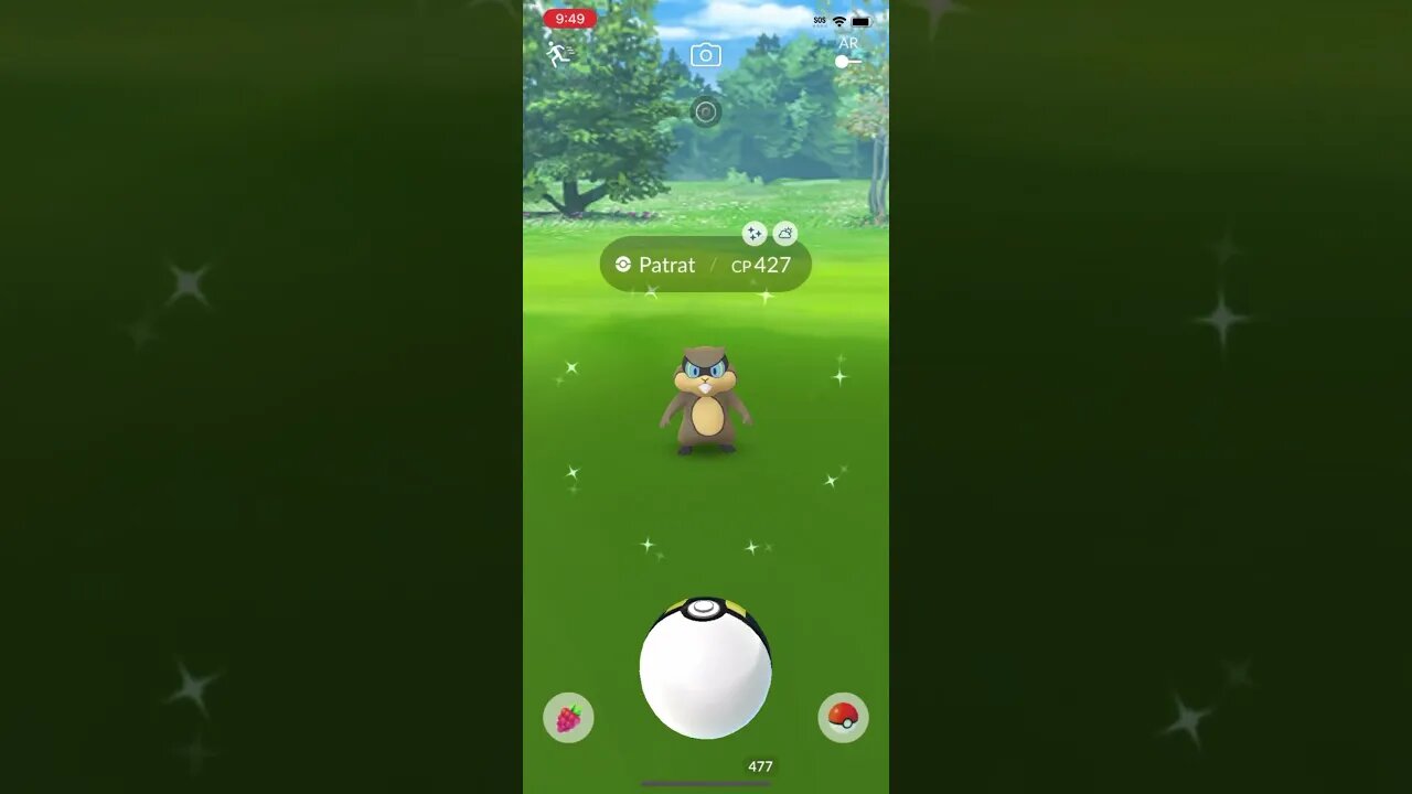 Shiny compilation