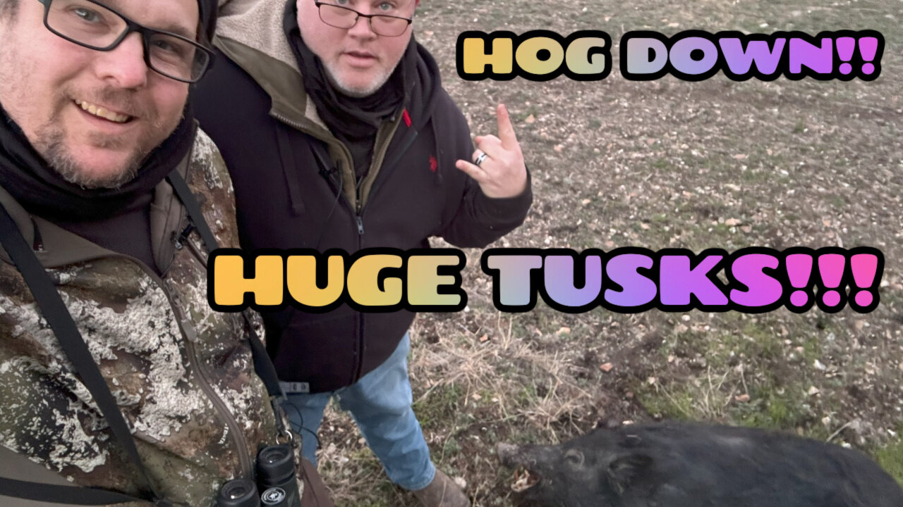 LARGE TUSKS BOAR HOG SMELLS LIKE MAPLE SYRUP!!! Last Weekend Of Deer Season 2023 #hunting Texas