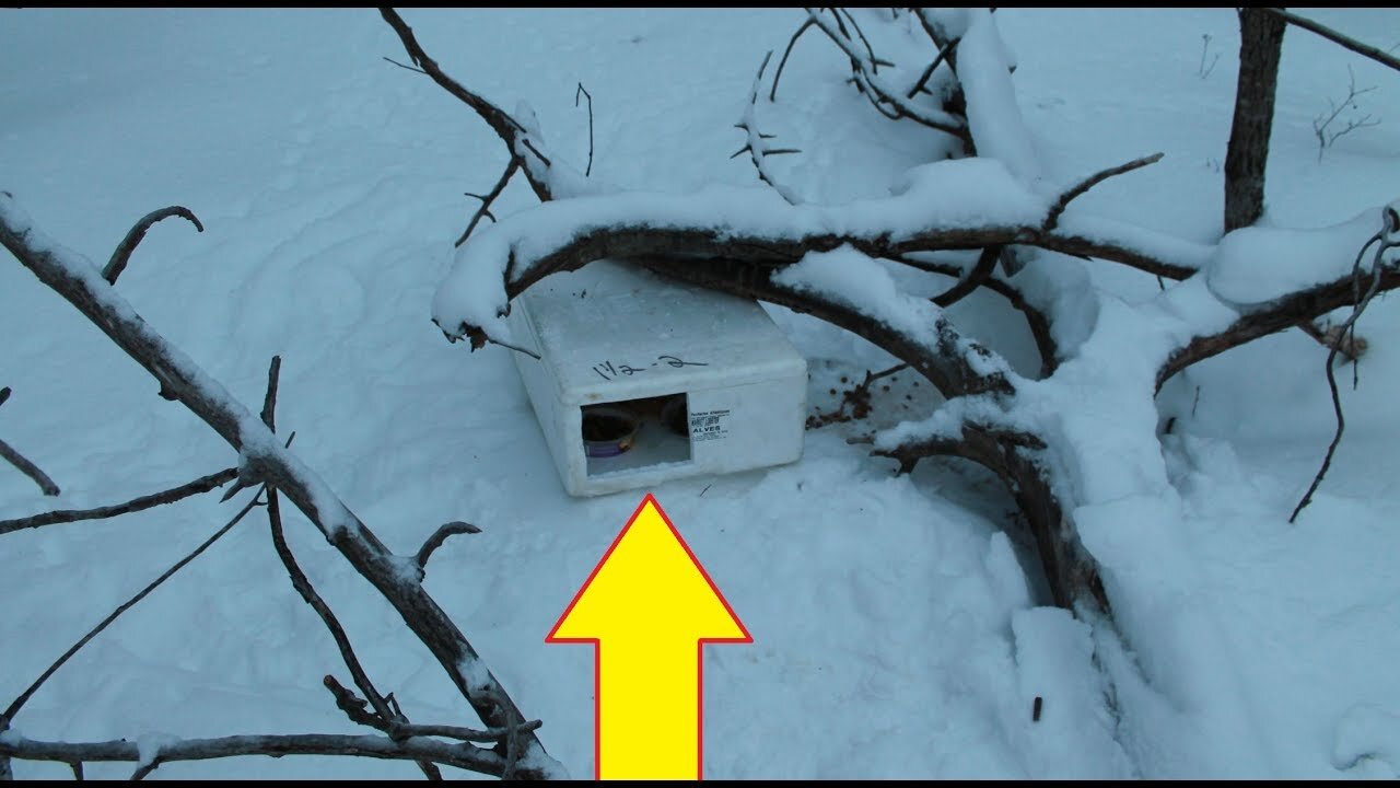 This Guy Found A Mysterious Box In The Snow Nothing Could Have Prepared Him For What Was In It