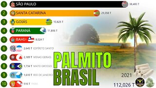Os Maiores Produtores de Palmito do Brasil