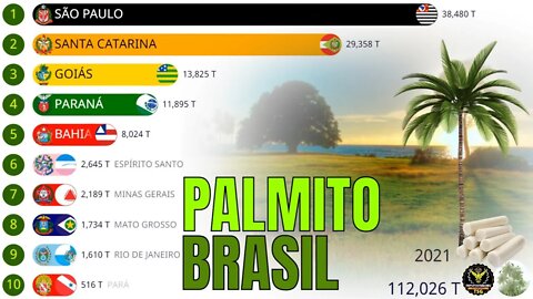 Os Maiores Produtores de Palmito do Brasil