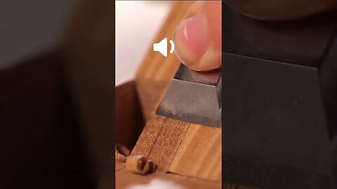 Crunchy wood 🤤