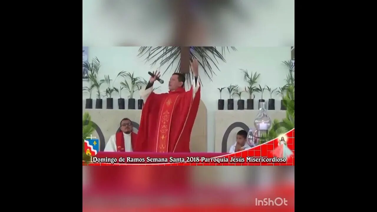 Domingo de Ramos. Padre Luis Toro.