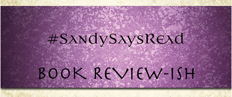 Saving My Assassin Book Review