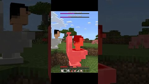 skibidi toilet in minecraft is weird 😂@DaFuqBoom