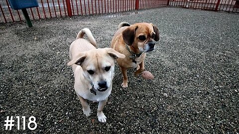 WHAT BUBBA & DEWIE DO WHEN WE'RE GONE + VASECTOMY TALK