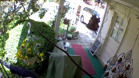 NORTH_VIDEO_DOOR_BELL_2023-05-18T11_39_06-0400.mp4