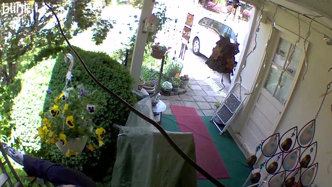NORTH_VIDEO_DOOR_BELL_2023-05-18T11_39_06-0400.mp4