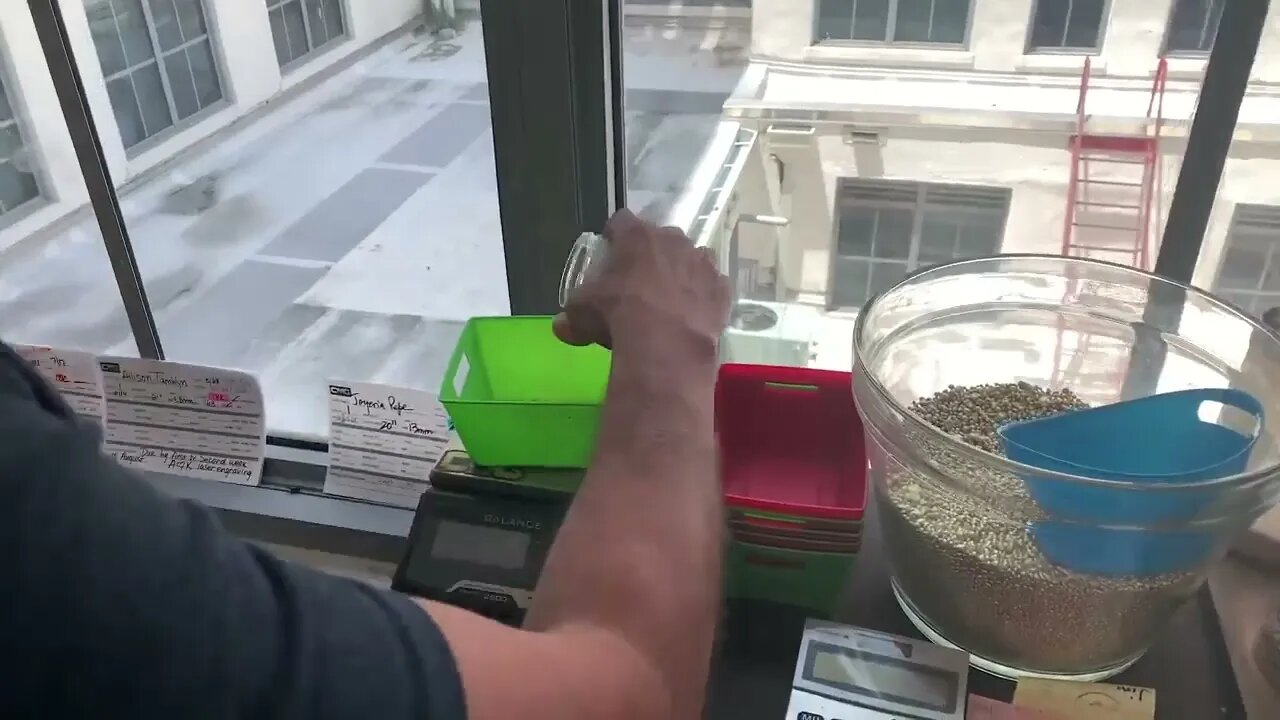 Making a Pure Gold Cuban Link Chain (Handmade 24 Karat)-1