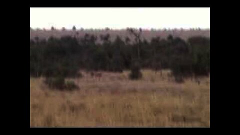 Kenya 2006