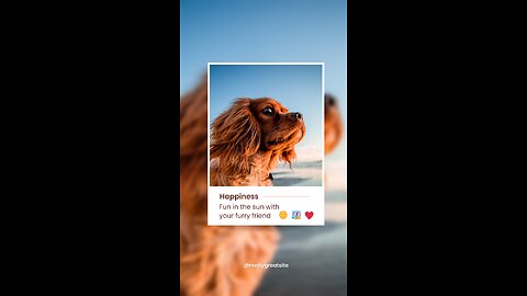 Want to train a dog❤️❤️❤️ Shorts dog _ Pet lover