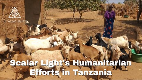 Scalar Light's Humanitarian Efforts in Tanzania