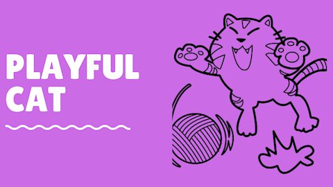 playful cat 23.2
