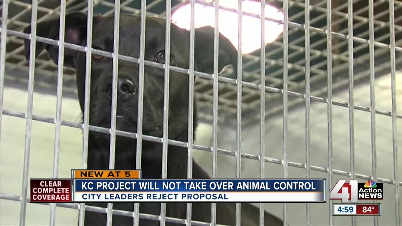 KC Pet Project will not take over animal control