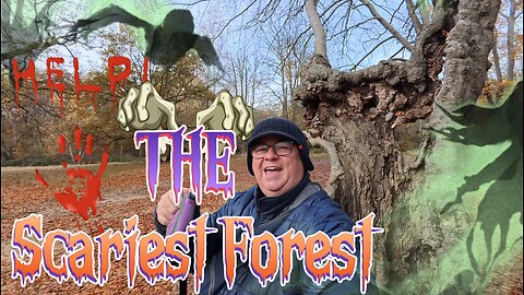 we're off to the scariest Forest that I've ever be