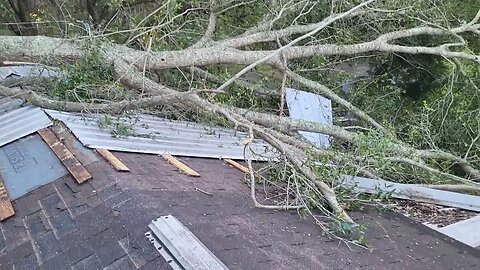 Im Back Quiet Hurricane Idalia #HurricaneIdalia
