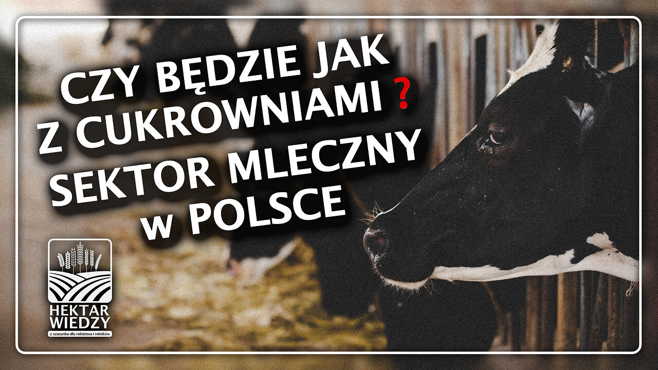 CZY BĘDZIE JAK Z CUKROWNIAMI? SEKTOR MLECZNY W POLSCE