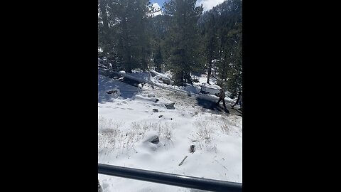 Mount San Jacinto State Park.