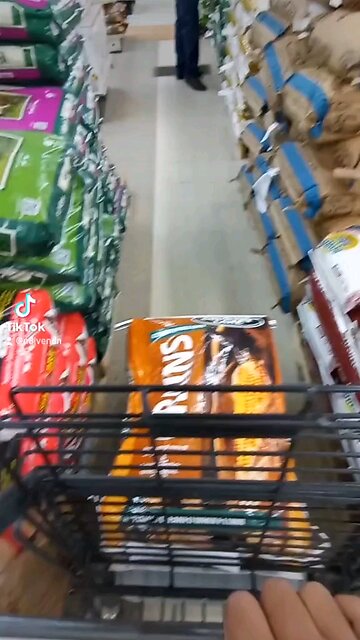 Little cute chicks at the feed store 🐥🐤🐣