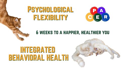 Psychological Flexibility 6 Weeks to a Happier You