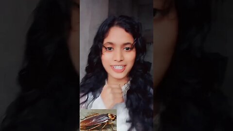 tilchatta Ko Sanskrit mein kya kahate Hain 🤔