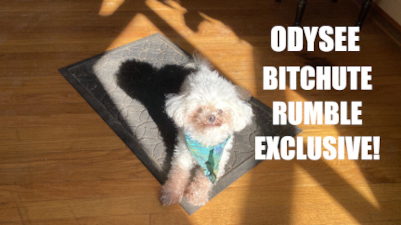 Rumble/Odysee/Bitchute Exclusive Hot Take: Christmas Day News Blast!