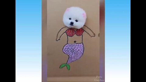 (Cute Pets )