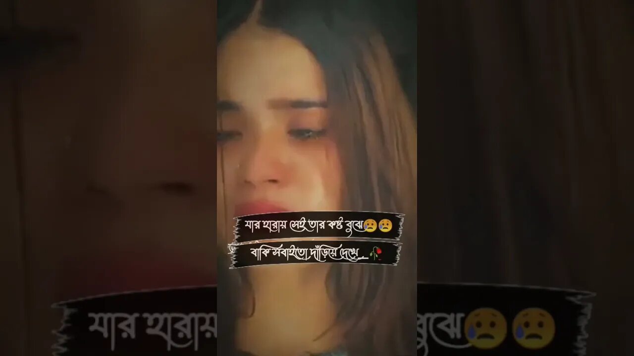 যার হারায় সেই তার কষ্ট বুঝে___বাকি সবাইতো দাঁড়িয়ে দেখে___🥀