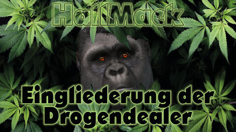 Eingliederung der Drogendealer