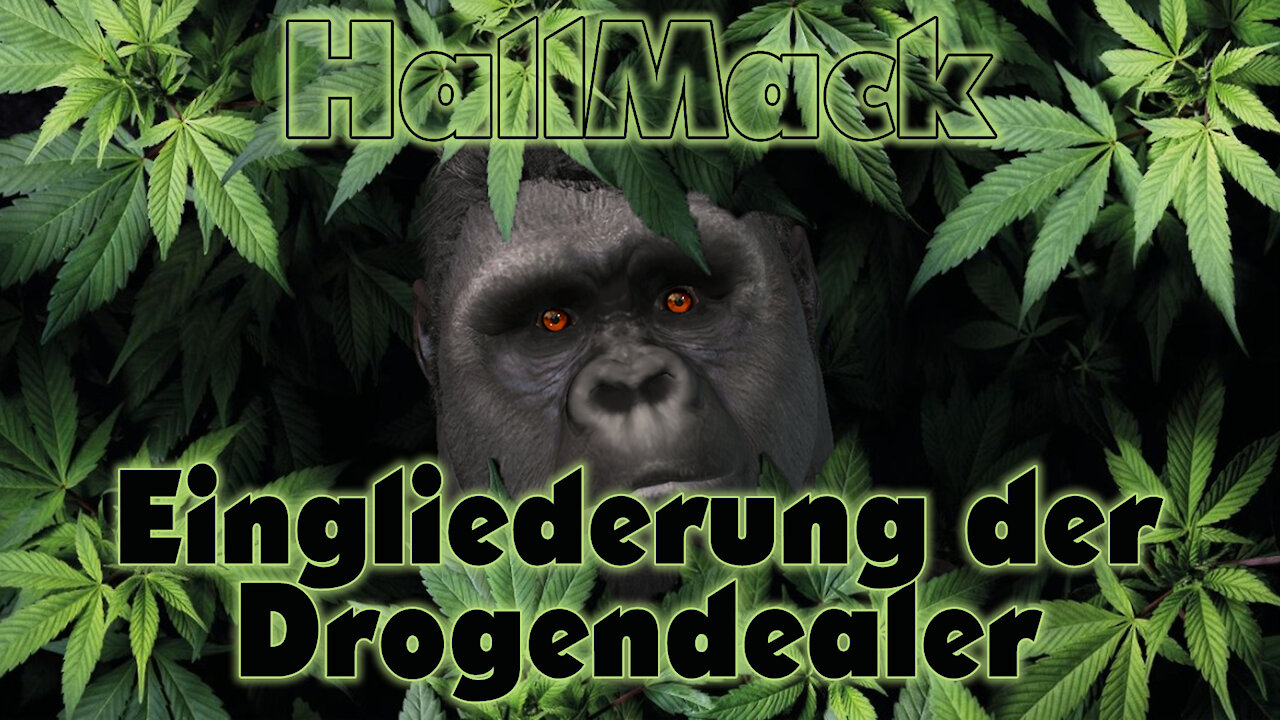 Eingliederung der Drogendealer