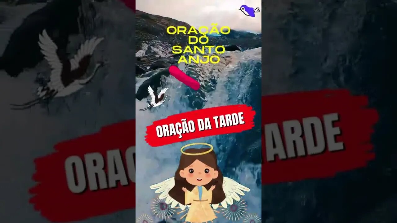 Oração do Santo Anjo - Oração da Tarde #shorts