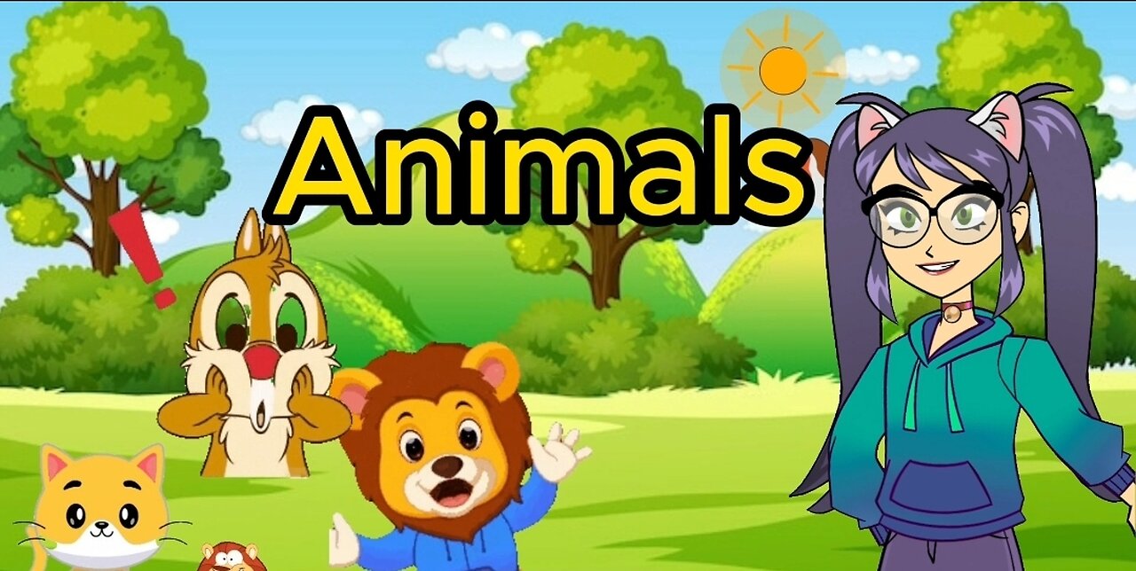 Let's Meets Jungle Friends
