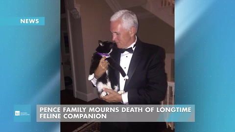 Pence Family Mourns Death Of Longtime Feline Companion