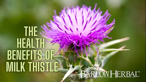 The Health Benefits of Milk Thistle