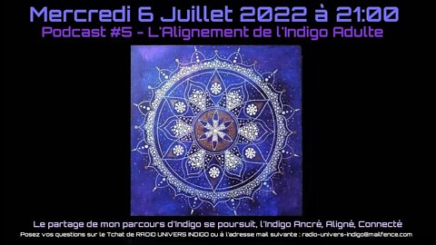 Podcast #3 - L'Alignement de L'Indigo adulte - Sylvia Marshall - 06-07-2022