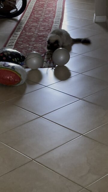 Kiki Strikes Again- 9/25/2021- 4K