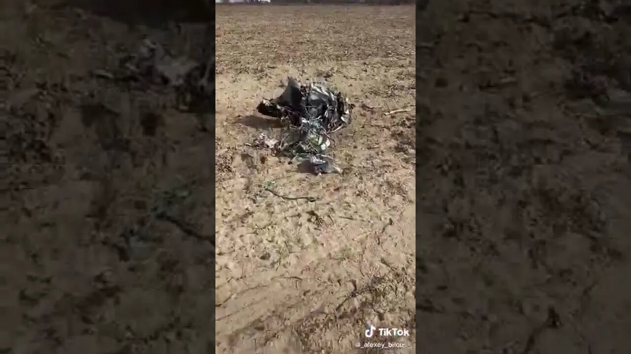 Downed Russian Cruise Missile wreckage