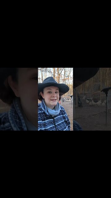 More Egg-Ventures at Forever Homestead.