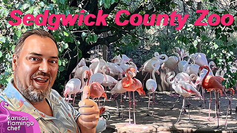 A visit to the Sedgwick County Zoo in Wichita, Kansas