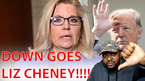 DOWN GOES LIZ CHENEY! Liberal Media COPES As She GETS CRUSHED Against Trump ENDING HER Career!