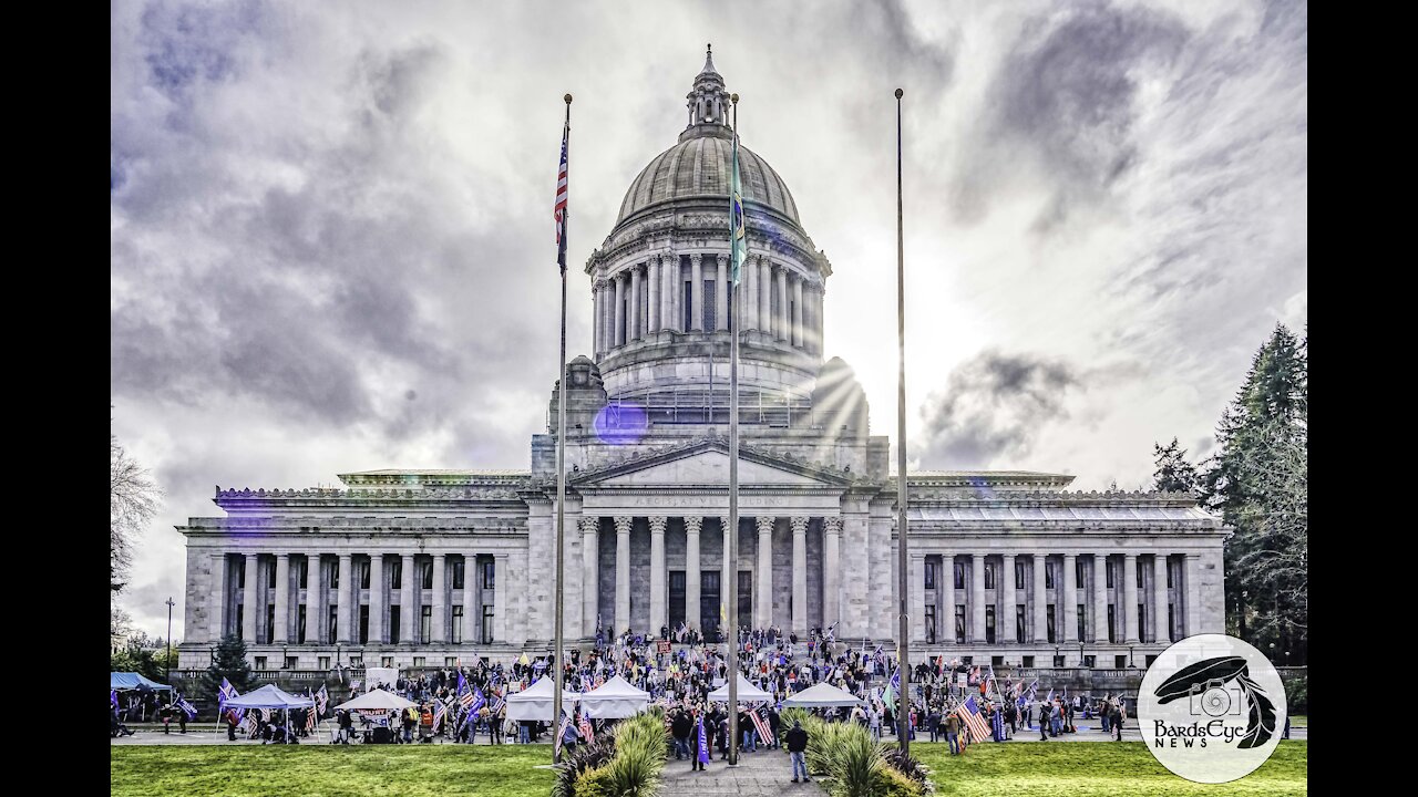 Stop the Steal Washington State Capital: Tamborine Borrelli WEICU.org